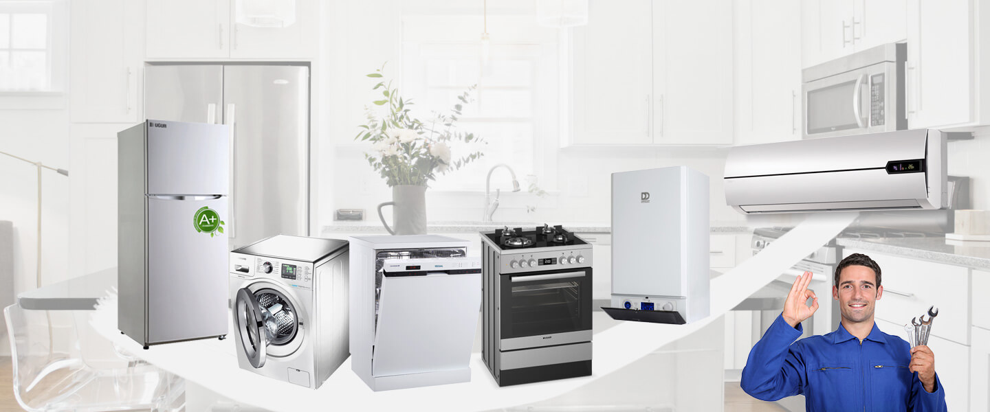İznik Smeg Servisi